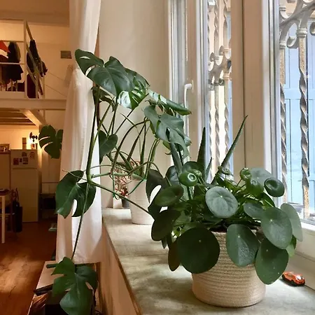 Appartamento Accogliente Loft In Zona Navigli Milano